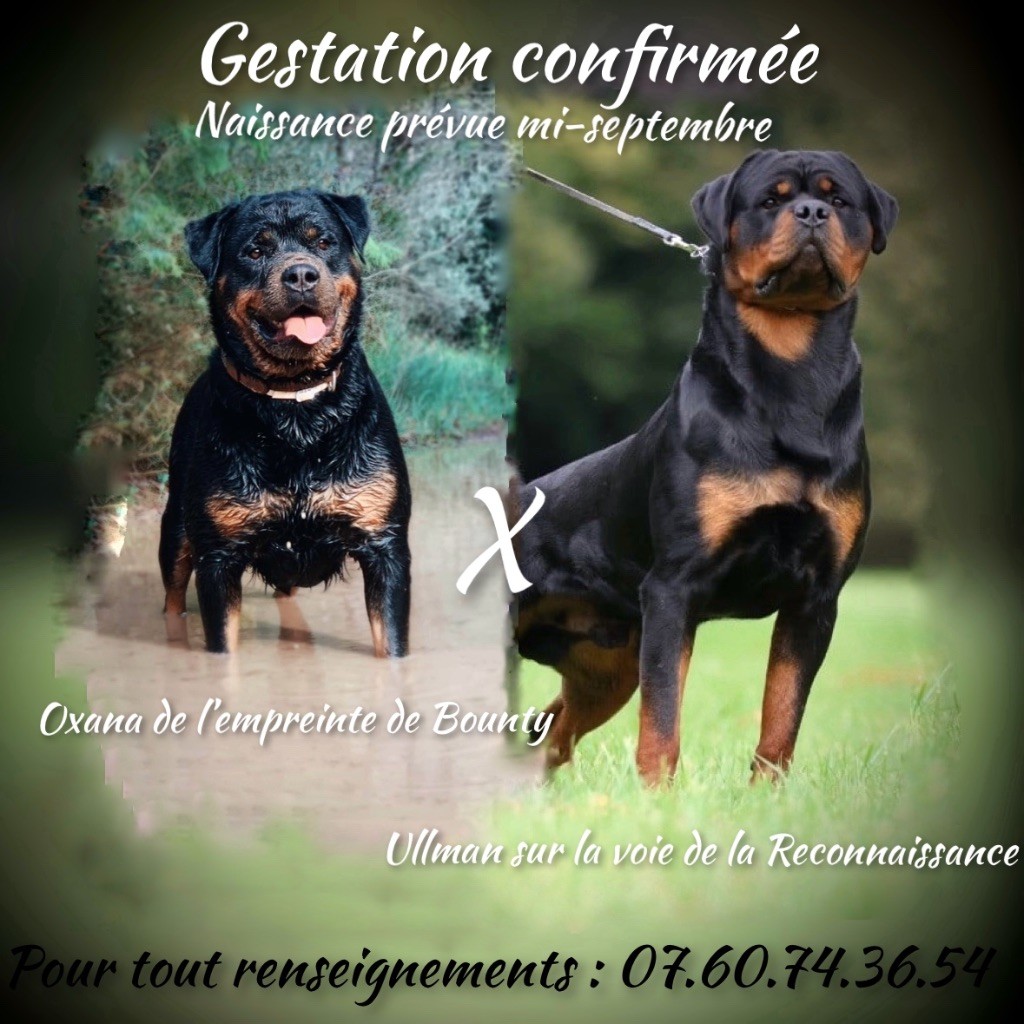 Gestation confirmée ??